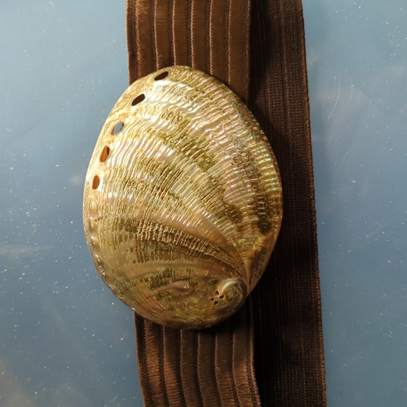 Seashell stretch belt - Picture 2 of 5